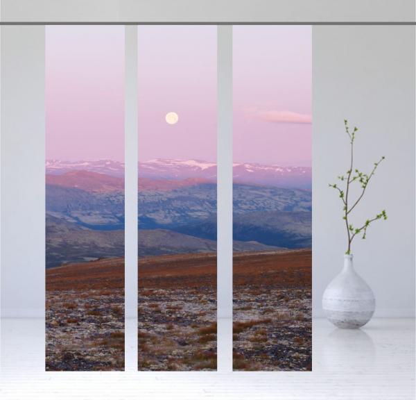 Flächenvorhang Rondane 3er Serie