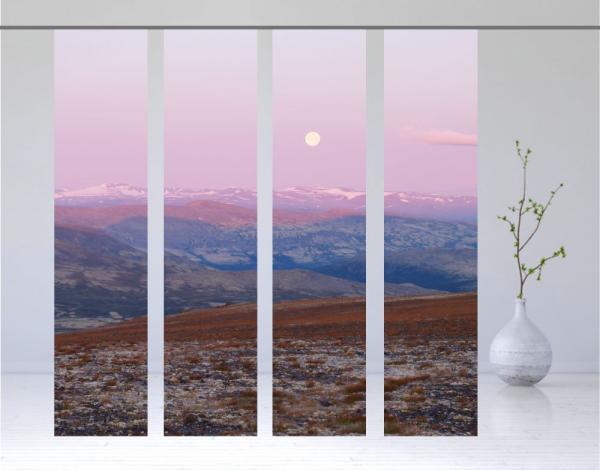 Flächenvorhang Rondane 4er, Schiebegardine, Set 4tlg,