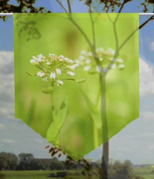 Scheibenhänger Frühlingswiese transparent