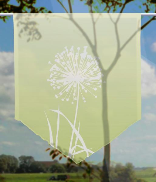 Allium - 24 apfel, Scheibenhänger spitz
