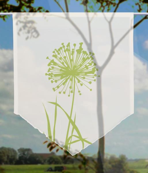 Allium-24 blanco-apfel, Scheibenhänger spitz
