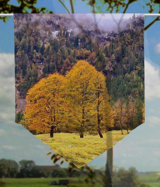 Herbstfreuden-Berge, Scheibenhänger spitz