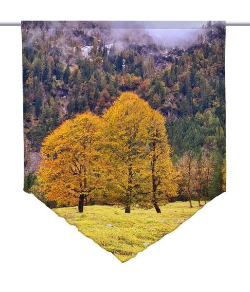 Herbstfreuden-Berge, Scheibenhänger spitz