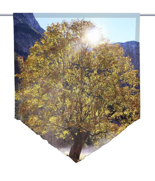 Nebliger Herbst, Scheibenhänger spitz