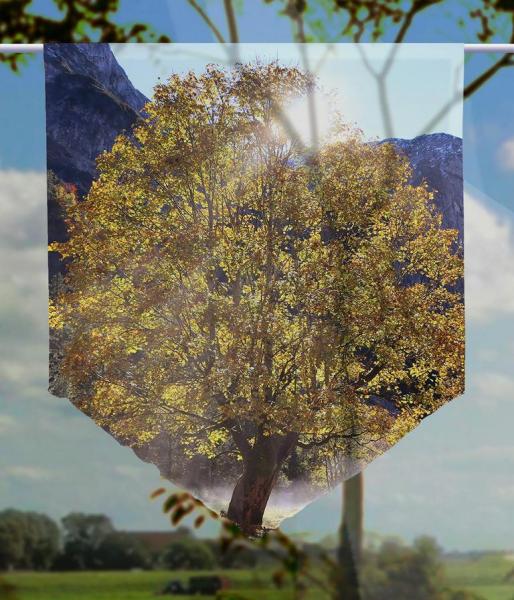 Nebliger Herbst, Scheibenhänger spitz