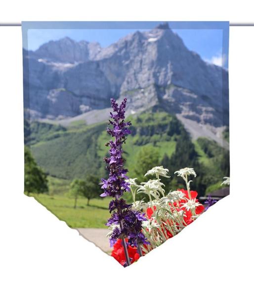 Sommererlebnis-Berge, Scheibenhänger spitz