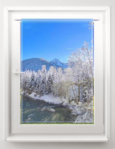 Scheibenhaenger-Winterblick--rechteckig