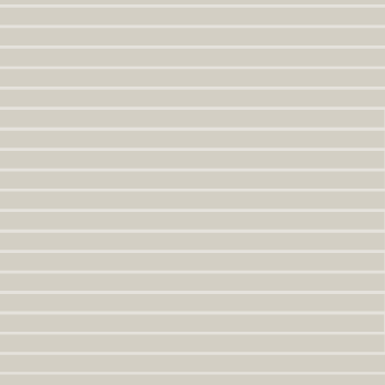  Hugo-Schiebevorhang-Farbe-silverbeige-panelo